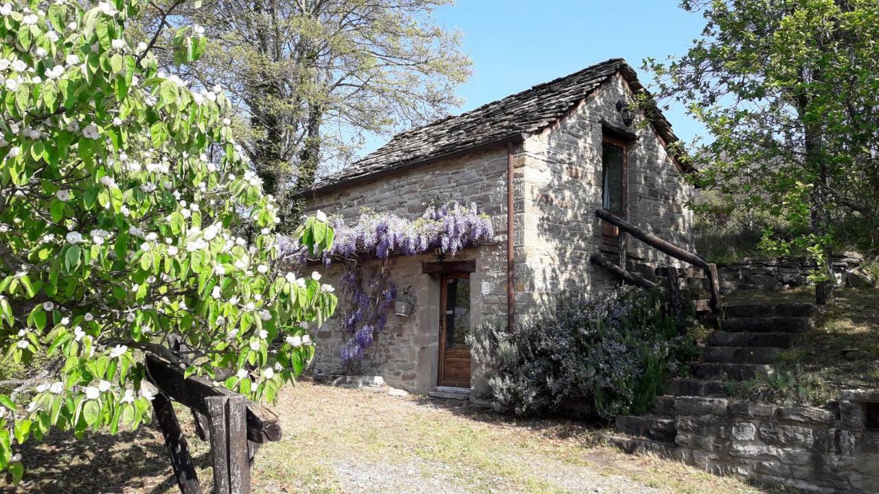Ca' D'Alfieri Villa Bardi Luaran gambar